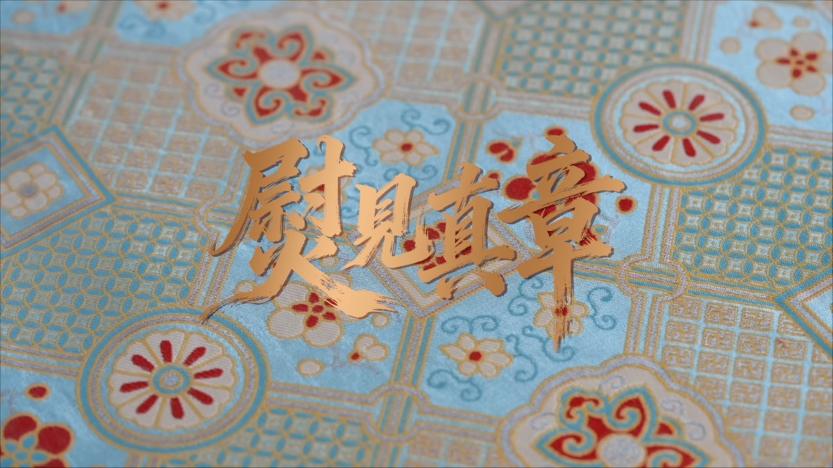 海尔·卡萨帝|铂金包熨烫机新品内容 — 作品画面